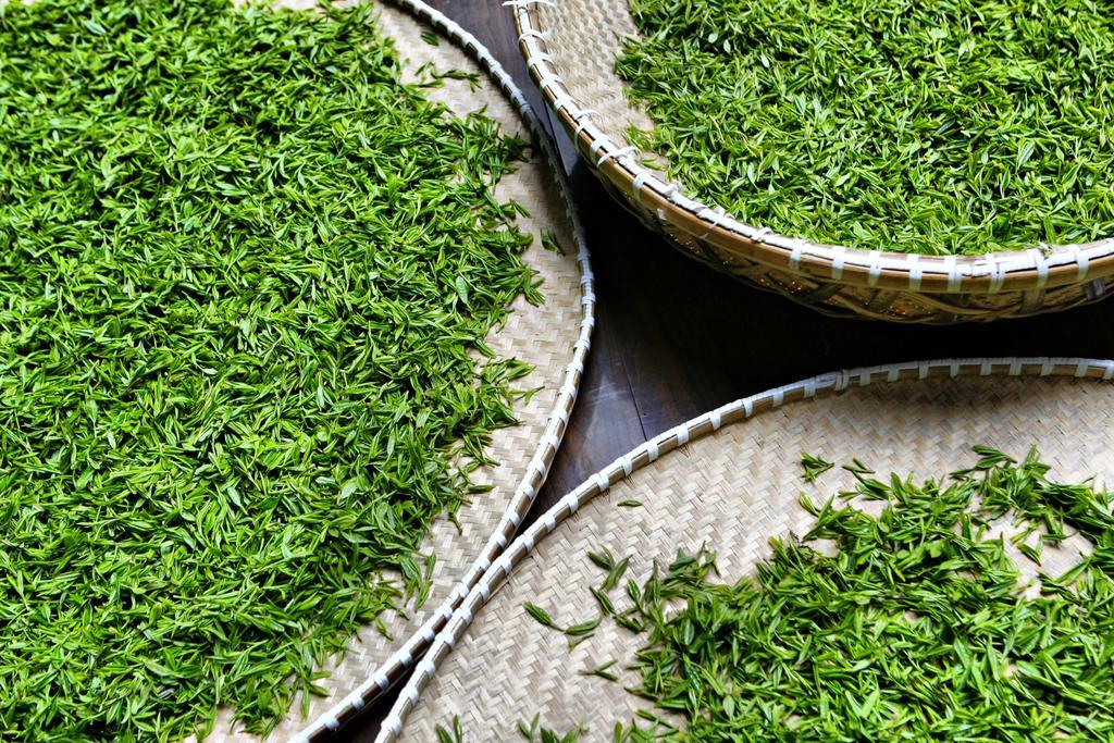 Landison Longjing Resort Hangzhou Eksteriør bilde