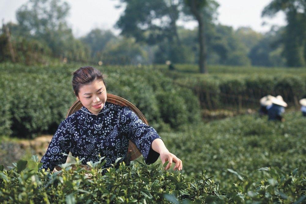 Landison Longjing Resort Hangzhou Eksteriør bilde